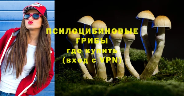 прущая мука Кулебаки
