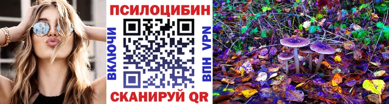 Купить где  Бирюч  Галлюциногенные грибы GOLDEN TEACHER 